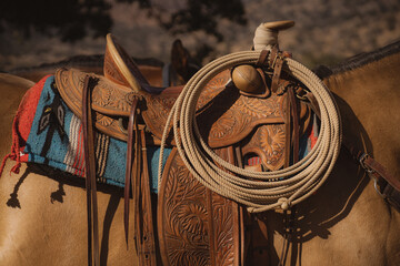 Saddle Close Up