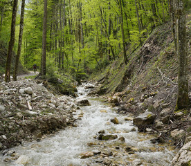 Radtour bei Bergen: Um den Hochfelln entlang der Schwarzen Ache