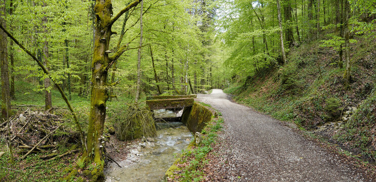Radtour bei Bergen: Um den Hochfelln entlang der Schwarzen Ache
