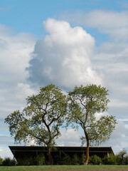 Wolke &uuml;ber 2 B&auml;umen &uuml;ber einer Scheune