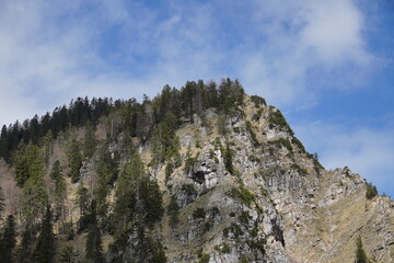 Radtour bei Bergen: Um Hochfelln/Hochgern - nahe Hinteralm / Silleck