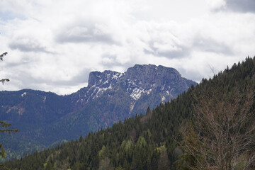 Radtour bei Bergen / am Hochfelln - Blick nach Süden Richtung Hörndlwand/Gurnwandkopf 