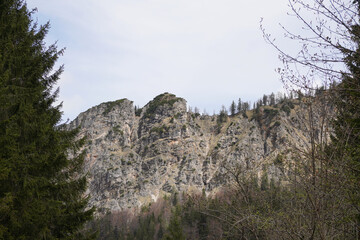 Radtour bei Bergen: Um Hochfelln/Hochgern - Blick Rötlwandkopf