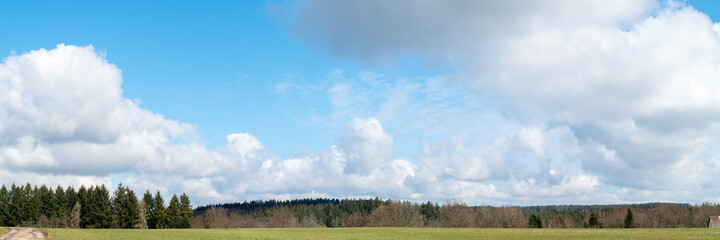 Wolken &uuml;ber dem Wald