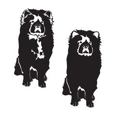 Chow chow black silhouette, vector illustration isolated on white background. Chow breed puppy