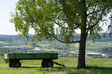 Anh&auml;nger unter dem Baum