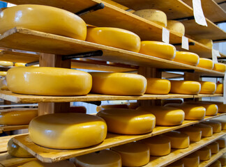 Fototapeta na wymiar Dutch cheese warehouse in Holland