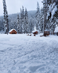 Winter landscape with lots of snow at the zoo. Group of deer in the background