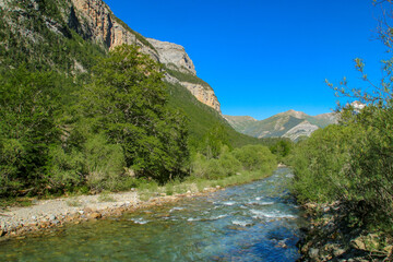 El río Arazas atraviesa el bosque en el hermoso Valle de Ordesa, Huesca, España. Paisaje natural con un frondoso bosque verde a principios de verano.