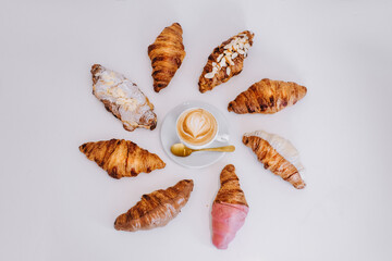 collection of seashells