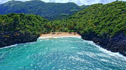 Ocean Tropical Beach Forest Landscape Caribbean Palms Lagoon