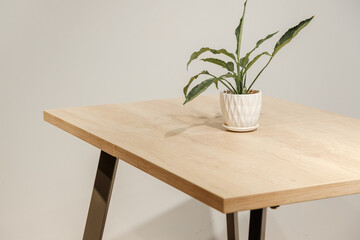 Wooden loft table with home plant in a pot
