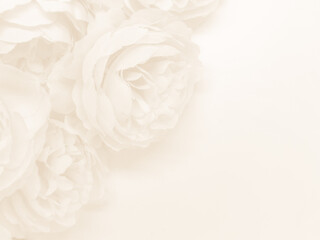 Beautiful abstract color white flowers on white background, black leaves texture, gray background,...
