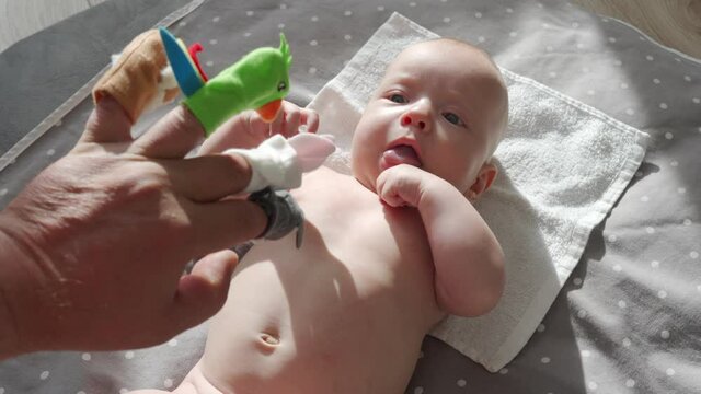 Father and his baby boy playing with finger puppet toys, three month old baby looking at father hand with finger puppets. High quality 4k footage