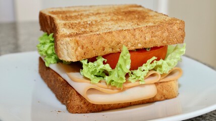 Yummy Homemade Sandwich.
