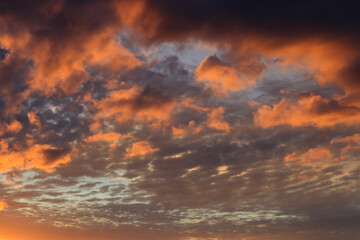 Background of orange and dark blue clouds in the spring sunset sky