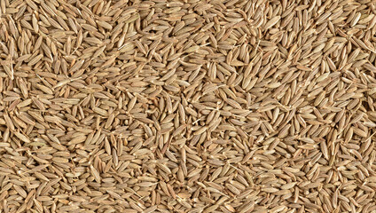 Surface covered with cumin seeds as a backdrop texture composition