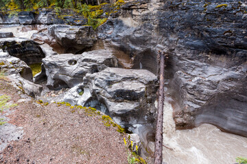 Eroded stones in the Maligne Canyon riverbed in th Jasper National Park, Alberta, Canada