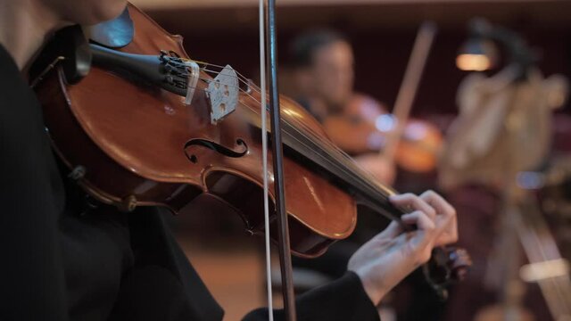 A woman plays the violin