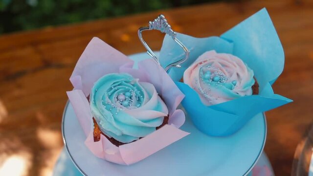 Closeup of colorful delicious cupcakes. Trendy beautiful maffins. Bright birthday fancy gift.