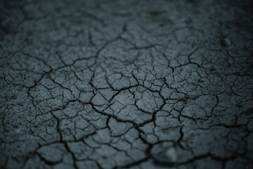 A dry piece of clay or earth without grass, all covered with cracks from the rays of the sun