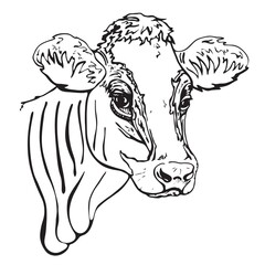 Black and white illustration of a cow