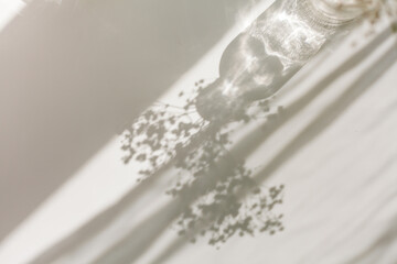 Shadows on a white background from a glass and flowers. Dried flowers in a glass vase in the rays...