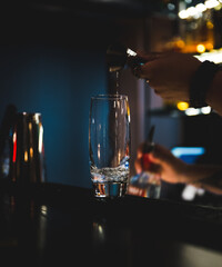 Fototapeta na wymiar glass of wine on the bar
