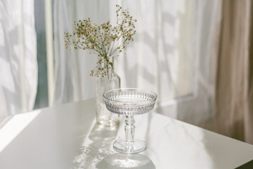 Shadows on a white background from a glass and flowers. Dried flowers in a glass vase in the rays of light.