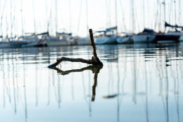 Holz im Wasser mit Segelschiffen im Hintergrund