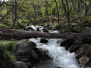 Beautiful waterfall inside the deep forest