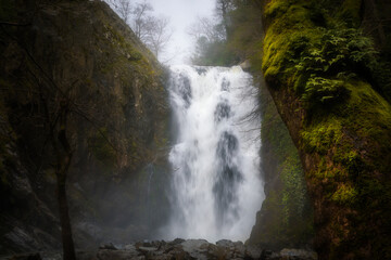 Fototapeta premium It's autumn time. Beautiful waterfall streams and colorful leaves. 