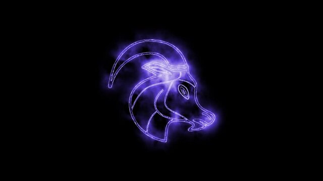 The Capricorn zodiac symbol animation, horoscope sign lighting effect purple neon glow. Royalty high-quality free stock of Capricorn isolated on black background. Horoscope, astrology icons motion