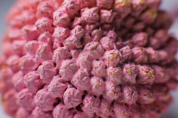 Macrocosm baketiria virus closeup background a medicine