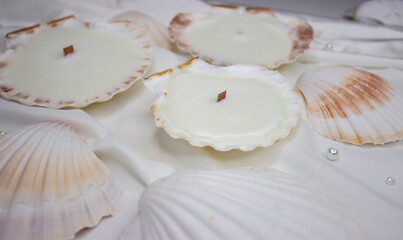 Candles shells rapan. Soy wax, wood and cotton wick. Cozy relaxing atmosphere. Hygge. Noble white color. Interior decor. Home, comfort.