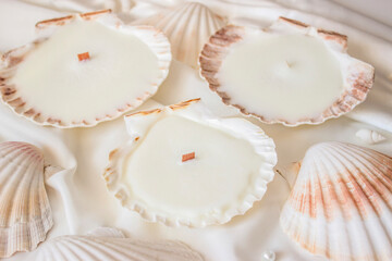 Candles shells rapan. Soy wax, wood and cotton wick. Cozy relaxing atmosphere. Hygge. Noble white color. Interior decor. Home, comfort.