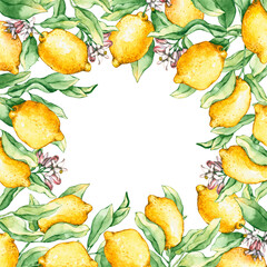 Frame with watercolor lemon branches and flowers. Hand drawn illustration is isolated on white. Floral composition is perfect for natural design, label, logo, wedding invitation, greeting card
