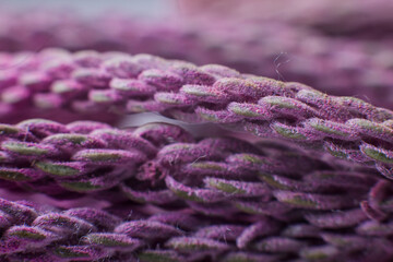 purple threads close up under the microscope background