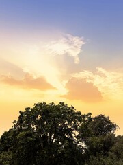 Shining Sun, Sol Resplandeciente 