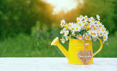 daisy flowers and heart in yellow watering can, natural background. rustic floral composition in garden. summer blossom season. copy space