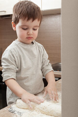 Fototapeta premium little boy helps to prepare delicious cheesecakes from cottage cheese dough