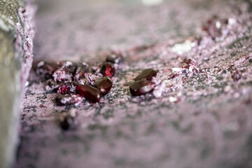 Foto macro de granos de maíz morado molidos en un petate. / Macro photo of purple corn being grinded in a “metate