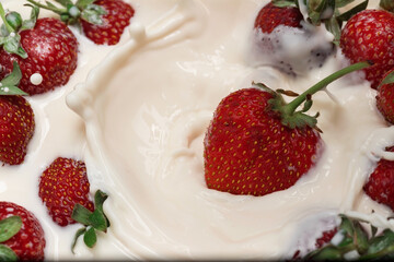 Red and ripe strawberries in white cream.