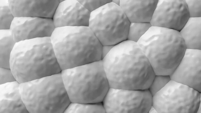 Noisy cells surface. Inflated bubbles motion background

