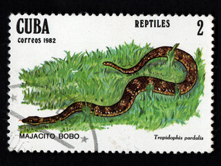 Cuban postage stamp featuring large snake in grass. Tropidophis pardalis