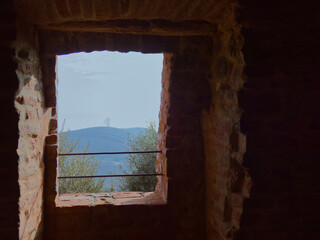 tree on top of a hill seen through a window