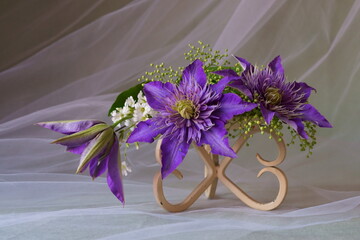 Beautiful purple flower -  clematis flower; Clematis viticella