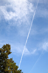 Fototapeta na wymiar 青空に一本の飛行機雲