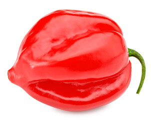 Habanero chili red hot pepper isolated on white background. clipping path