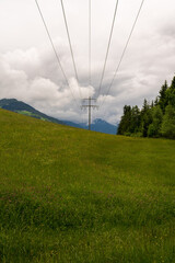 Freileitungsmast mit Wiese und Wald